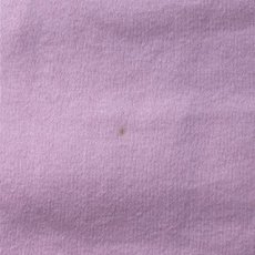画像10: 「Polo RALPH LAUREN(ポロ ラルフローレン)」ポニー刺繍 ピンク 定番 半袖 ポロシャツ (10)