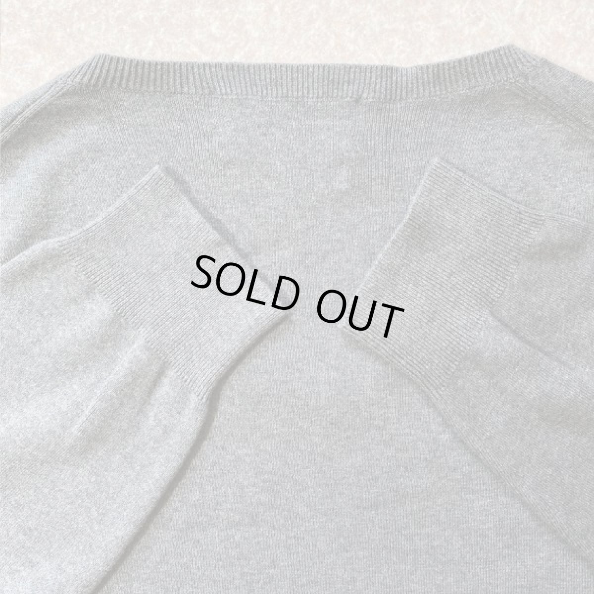 画像10: 「Polo RALPH LAUREN(ポロ ラルフローレン)」ピマコットン ポニー刺繍 Vネック ライトグレー ニット (10)