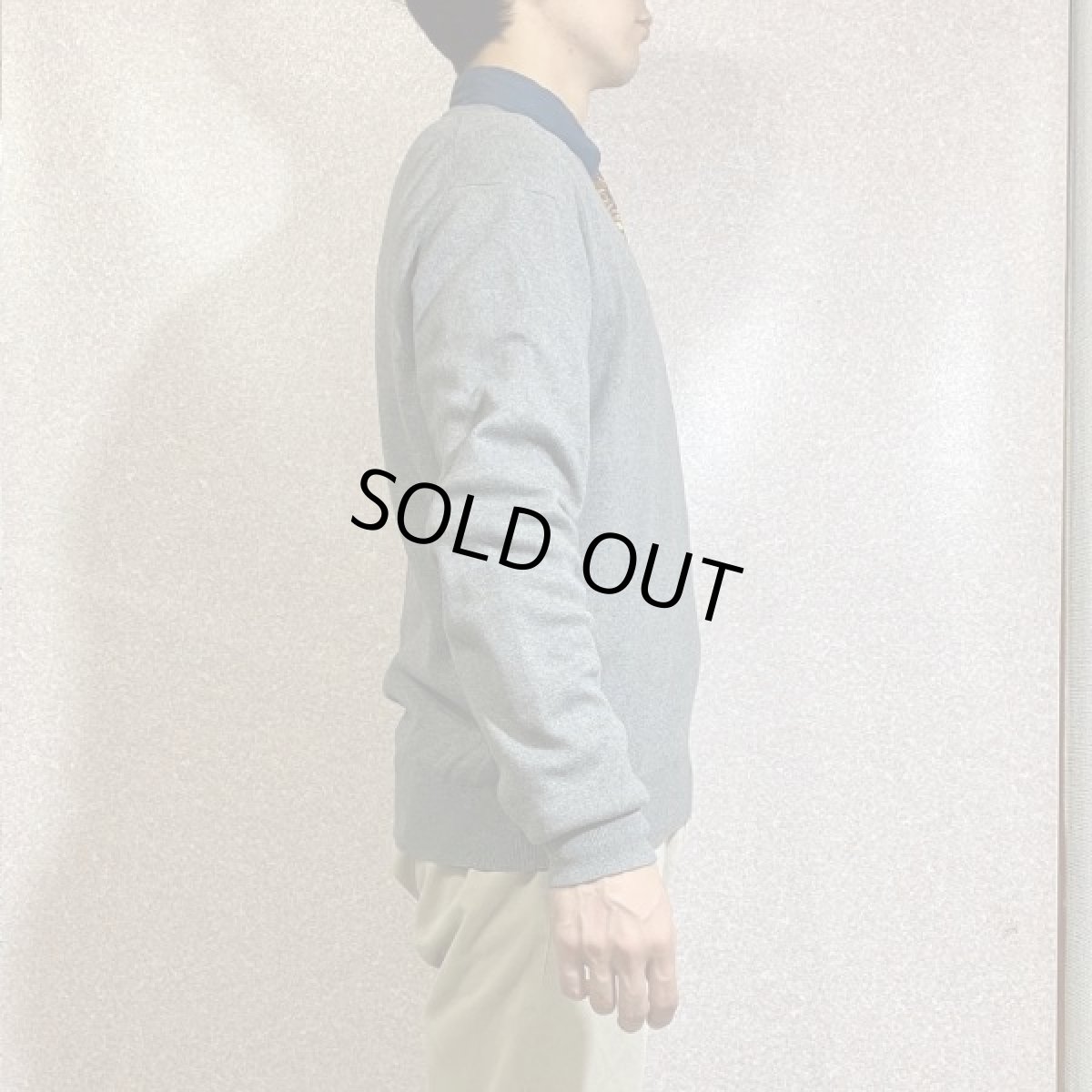 画像18: 「Polo RALPH LAUREN(ポロ ラルフローレン)」ピマコットン ポニー刺繍 Vネック ライトグレー ニット (18)