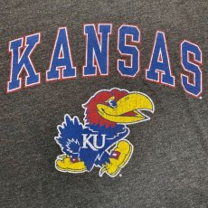 画像6: 「NEW AGENDA(ニュー アジェンダ)」KANSAS KU  カンザス大学 ジェイホークス クラックプリント Tシャツ (6)