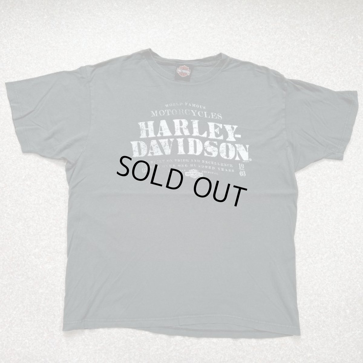 画像1: 「HARLEY-DAVIDSON(ハーレーダビッドソン)」モーターサイクル 両面プリント Tシャツ (1)