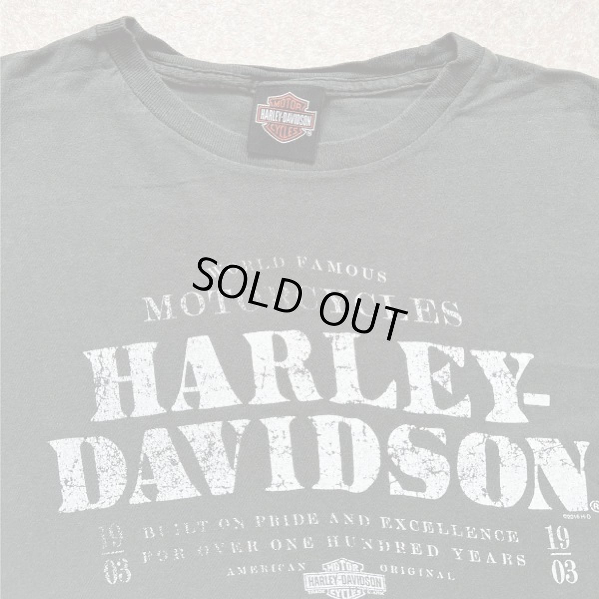 画像3: 「HARLEY-DAVIDSON(ハーレーダビッドソン)」モーターサイクル 両面プリント Tシャツ (3)