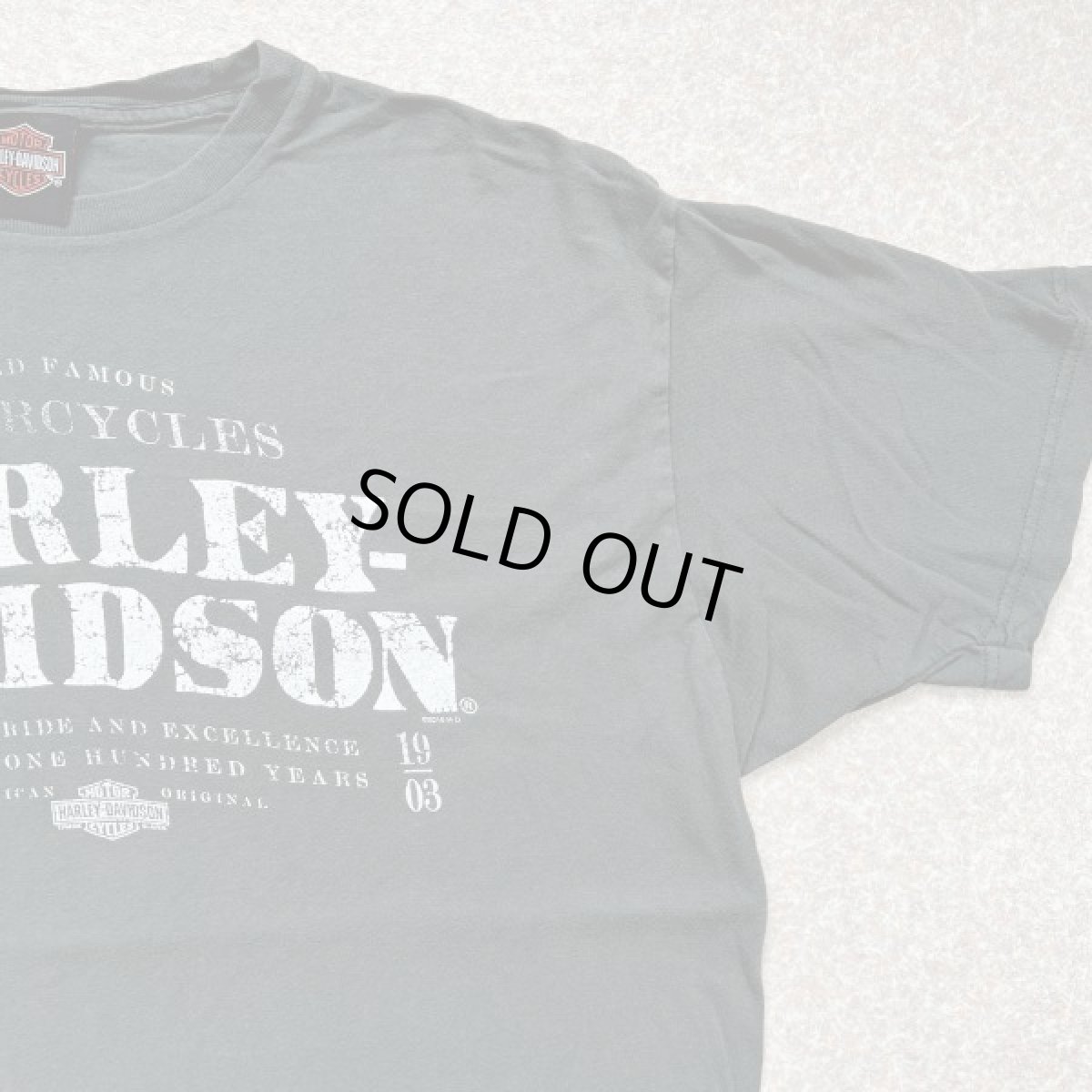 画像4: 「HARLEY-DAVIDSON(ハーレーダビッドソン)」モーターサイクル 両面プリント Tシャツ (4)