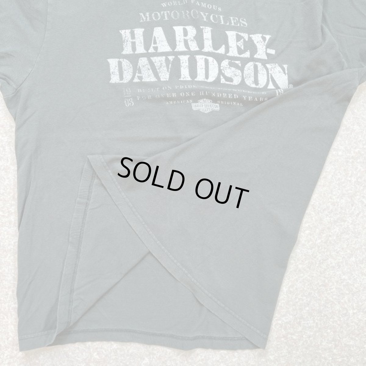 画像9: 「HARLEY-DAVIDSON(ハーレーダビッドソン)」モーターサイクル 両面プリント Tシャツ (9)