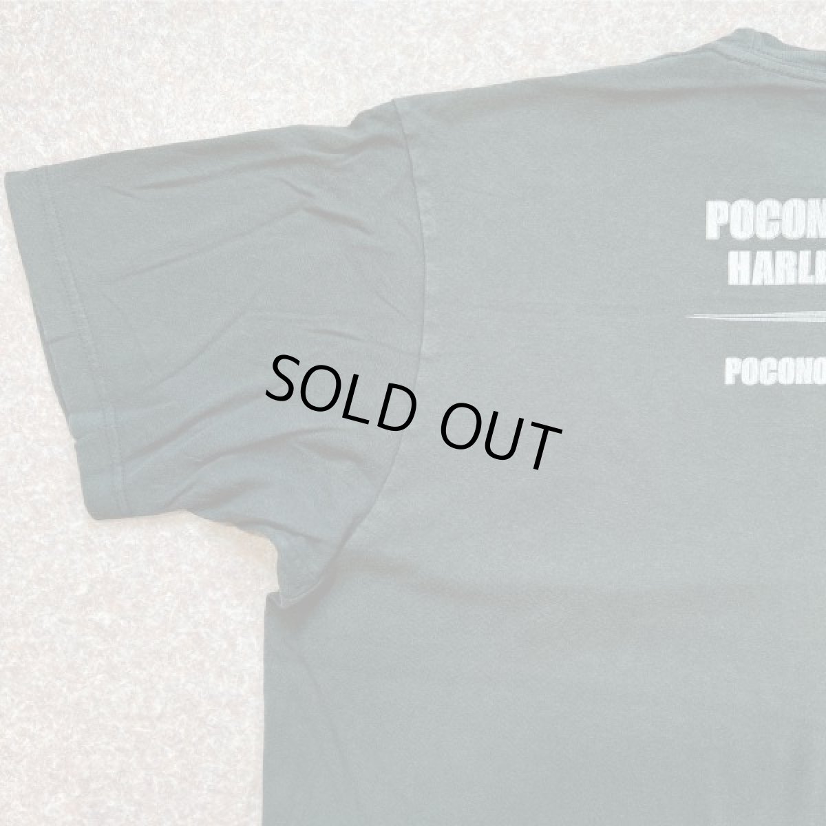 画像11: 「HARLEY-DAVIDSON(ハーレーダビッドソン)」モーターサイクル 両面プリント Tシャツ (11)