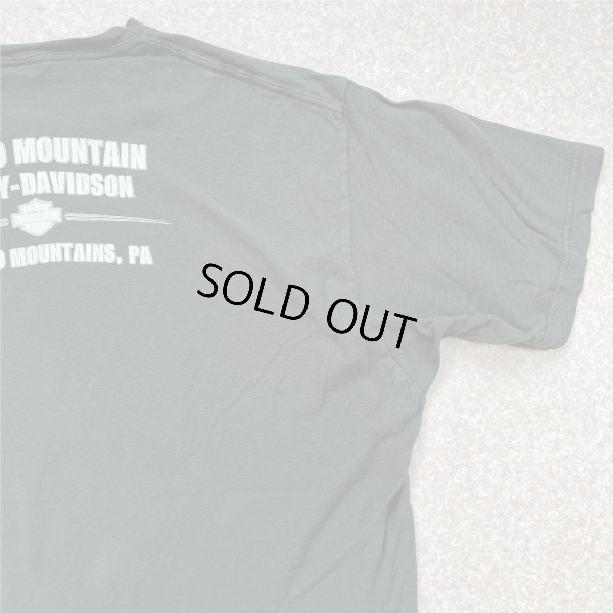 画像13: 「HARLEY-DAVIDSON(ハーレーダビッドソン)」モーターサイクル 両面プリント Tシャツ (13)