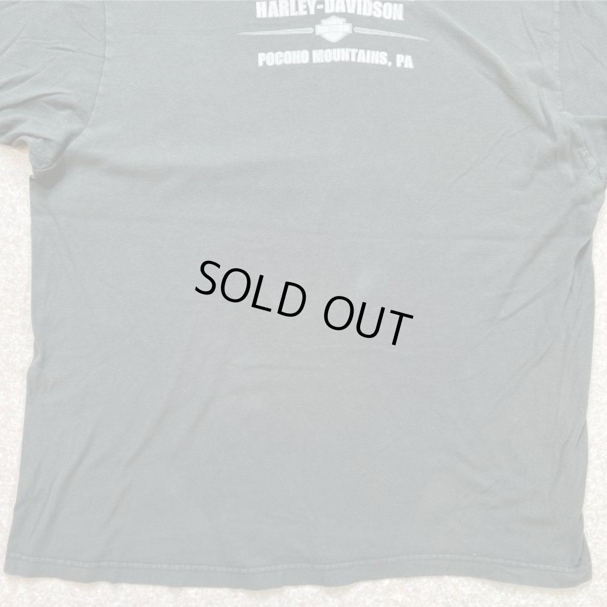 画像14: 「HARLEY-DAVIDSON(ハーレーダビッドソン)」モーターサイクル 両面プリント Tシャツ (14)