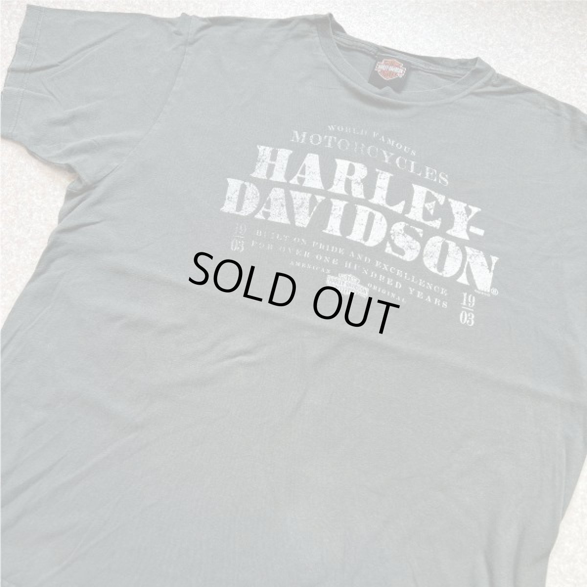 画像15: 「HARLEY-DAVIDSON(ハーレーダビッドソン)」モーターサイクル 両面プリント Tシャツ (15)