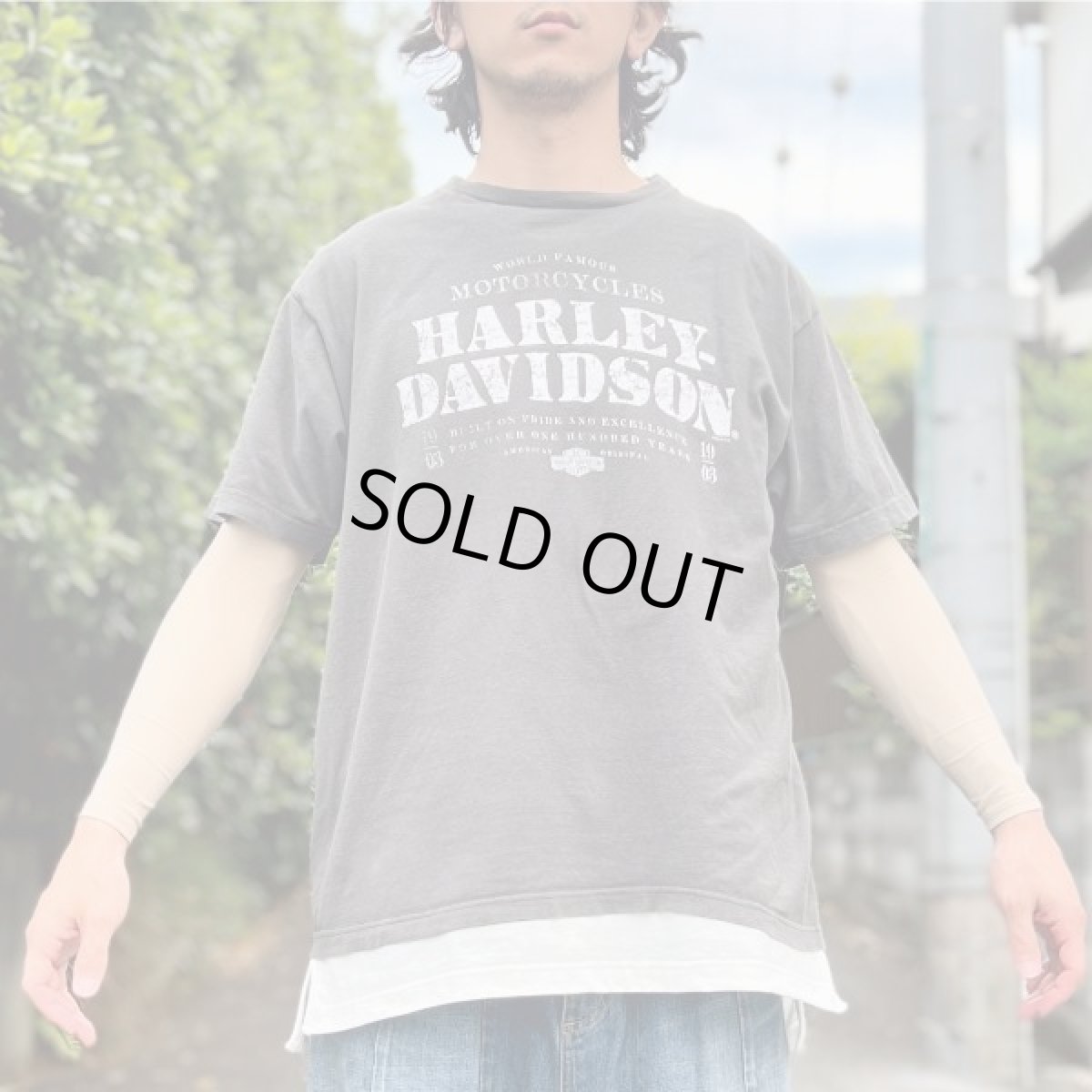 画像16: 「HARLEY-DAVIDSON(ハーレーダビッドソン)」モーターサイクル 両面プリント Tシャツ (16)