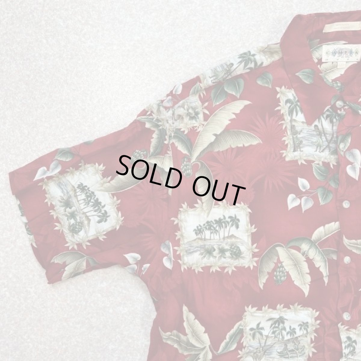 画像2: 「CAMPIA MODA(カンピア モダ)」ボタニカル柄 カヤック XXL レーヨン レギュラーカラー 半袖シャツ (2)