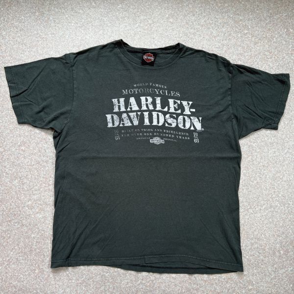 画像1: 「HARLEY-DAVIDSON(ハーレーダビッドソン)」モーターサイクル 両面プリント Tシャツ (1)